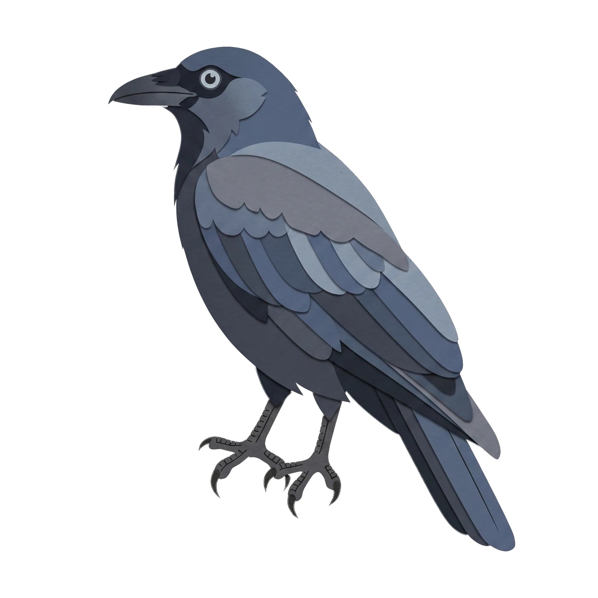 Stylized illustration of the American Crow