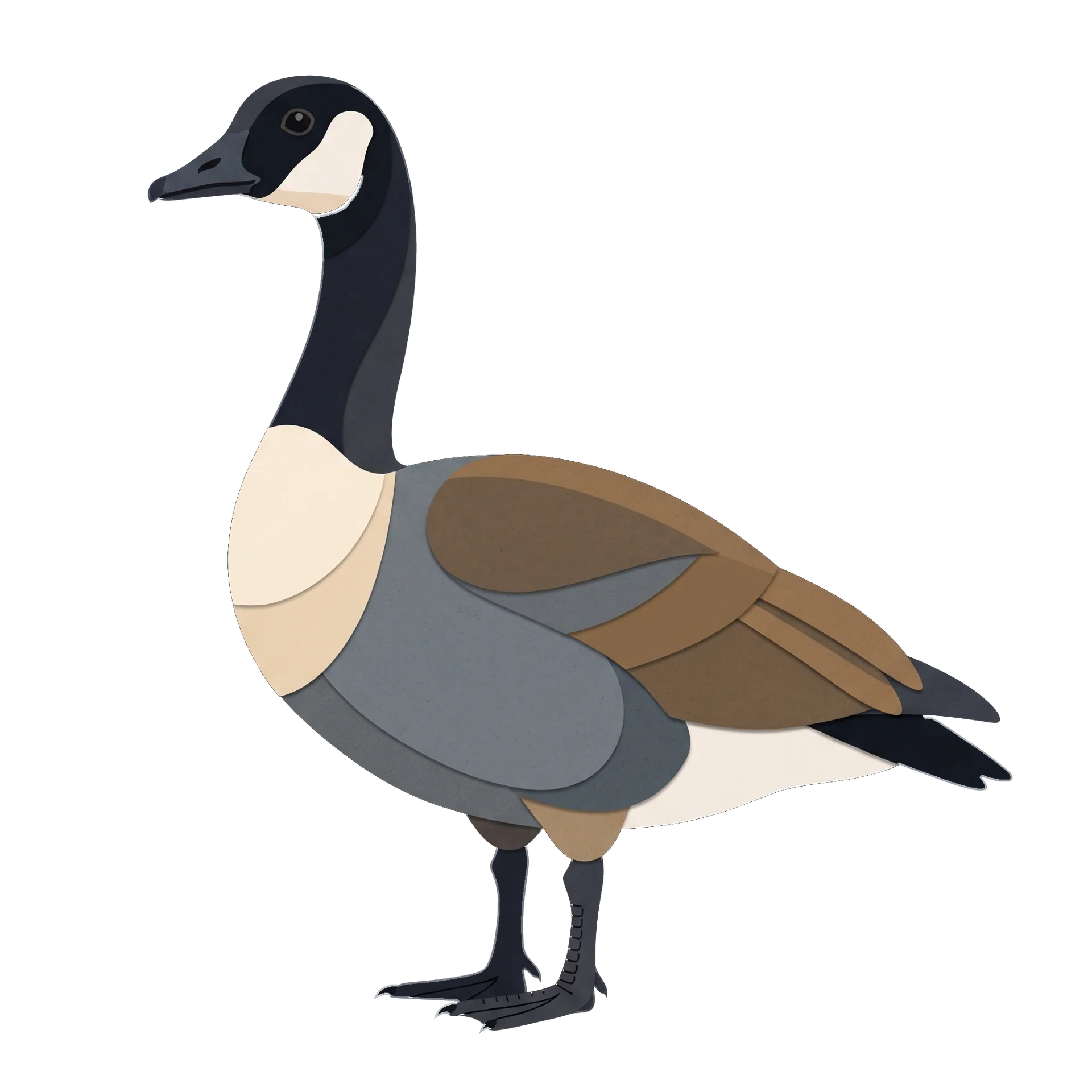 Stylized illustration of the Canada Goose